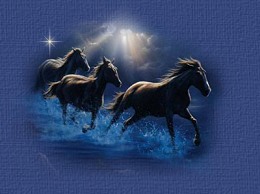 Beads for Steeds - Rhythm Beads for Horses